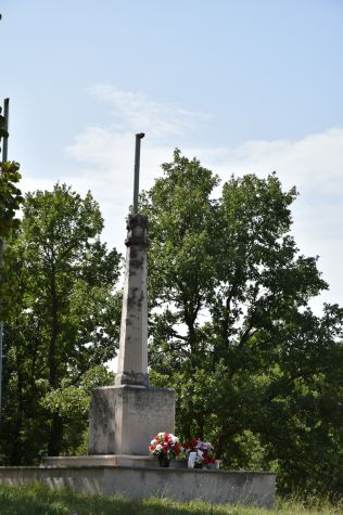 DSC_0247